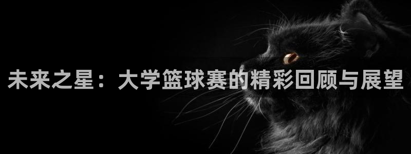 皇冠手机娱乐游戏平台网址多少啊安全吗：未来之星：大学篮球赛的