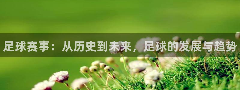 我要玩所有皇冠的游戏